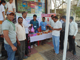 Village Adoption 5